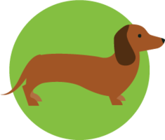 animals & dachshund free transparent png image.