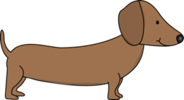 animals & Dachshund free transparent png image.