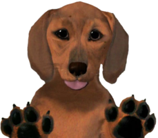 animals & Dachshund free transparent png image.