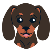 animals & Dachshund free transparent png image.