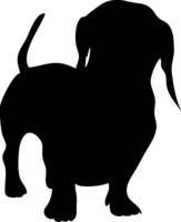 animals & Dachshund free transparent png image.