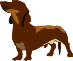 animals & Dachshund free transparent png image.