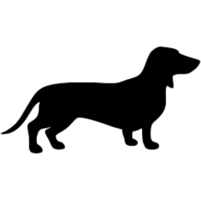 animals & Dachshund free transparent png image.