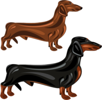 animals & dachshund free transparent png image.