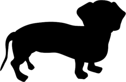 animals & Dachshund free transparent png image.