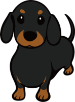 animals & dachshund free transparent png image.