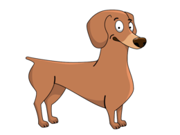 animals & dachshund free transparent png image.