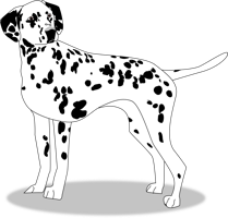 animals & dalmatian free transparent png image.