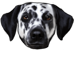 animals & dalmatian free transparent png image.