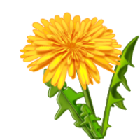 flowers & dandelion free transparent png image.