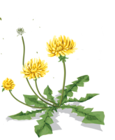 flowers & Dandelion free transparent png image.