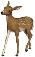 animals & Deer free transparent png image.