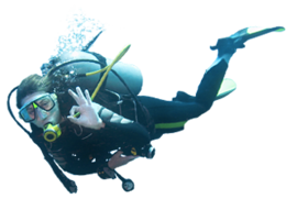 people & diver free transparent png image.