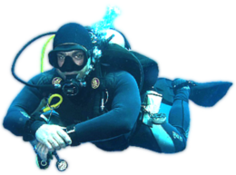 people & diver free transparent png image.