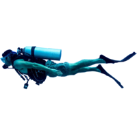 people & diver free transparent png image.