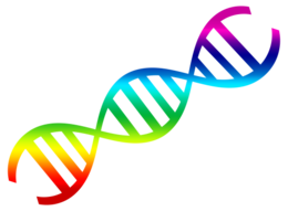 miscellaneous & dna free transparent png image.