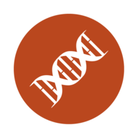 miscellaneous & DNA free transparent png image.