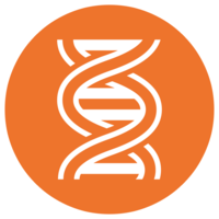 miscellaneous & DNA free transparent png image.