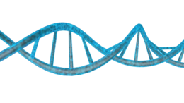 miscellaneous & dna free transparent png image.