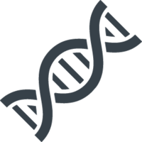 miscellaneous & DNA free transparent png image.