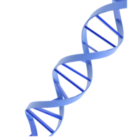 miscellaneous & DNA free transparent png image.