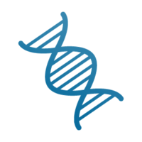 miscellaneous & DNA free transparent png image.