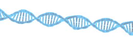 miscellaneous & DNA free transparent png image.