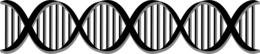 miscellaneous & dna free transparent png image.