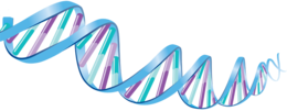 miscellaneous & dna free transparent png image.