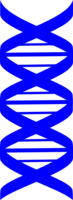 miscellaneous & DNA free transparent png image.