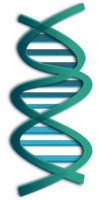 miscellaneous & dna free transparent png image.