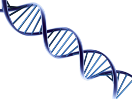 miscellaneous & DNA free transparent png image.