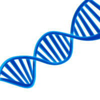 miscellaneous & dna free transparent png image.