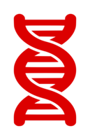 miscellaneous & DNA free transparent png image.