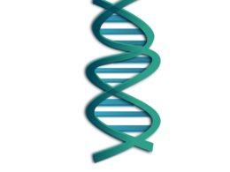 miscellaneous & dna free transparent png image.