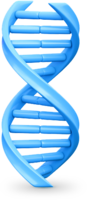 miscellaneous & DNA free transparent png image.