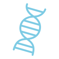 miscellaneous & DNA free transparent png image.