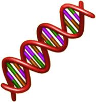 miscellaneous & dna free transparent png image.