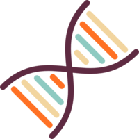 miscellaneous & DNA free transparent png image.