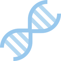 miscellaneous & DNA free transparent png image.