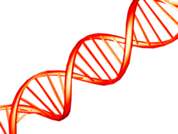 miscellaneous & dna free transparent png image.