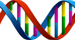 miscellaneous & DNA free transparent png image.