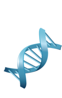 miscellaneous & DNA free transparent png image.