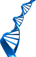 miscellaneous & dna free transparent png image.