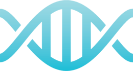 miscellaneous & DNA free transparent png image.