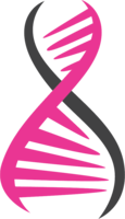 miscellaneous & DNA free transparent png image.