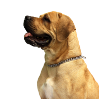 animals & Dogs free transparent png image.