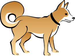 animals & Dogs free transparent png image.