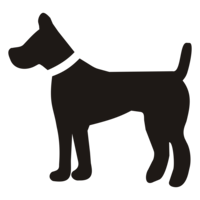 animals & dogs free transparent png image.