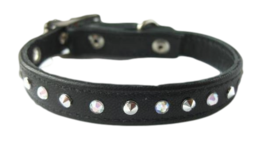 animals & dog collar free transparent png image.